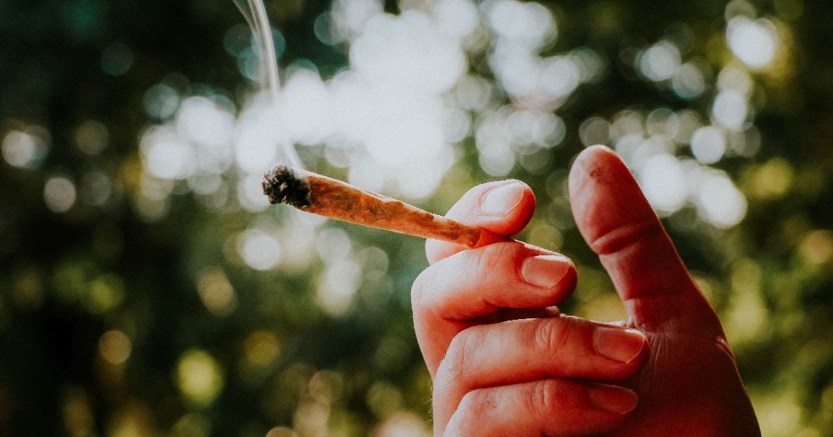 President Trump Considers Reclassifying Marijuana As A Less Dangerous Drug